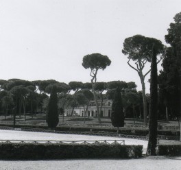 Zahrada